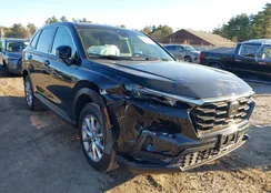 2HKRS4H46TH411121: 43816491