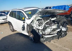 2T3W1RFV0SW413808: 43817329