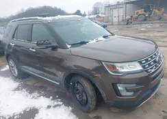 1FM5K8F83GGC48607: 43817641