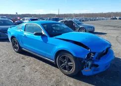 1ZVBP8AM9C5287573: 43817713