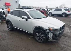 JM1DKFD7XG0138886: 43818931