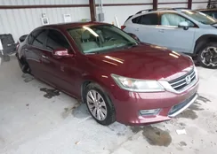 1HGCR2F82DA249087: 43819331