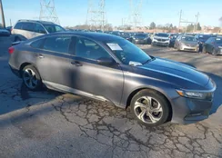 1HGCV1F55KA080207: 43819856