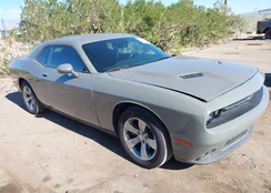 2C3CDZAG9JH310831: 43821401