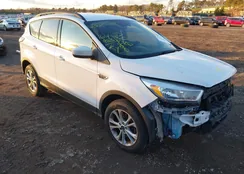 1FMCU9GD0JUA95468: 43820629