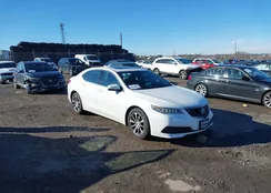 19UUB1F56HA001164: 43820870