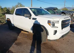 3GTU9CED2LG304144: 43822271