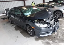 19XFC2F78GE229190: 43823980