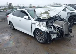 5XXGU4L12KG338564: 43823736