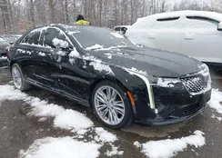 1G6DB5RK5N0110940: 43827249