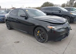 ZARFAMAN3L7637233: 43828427