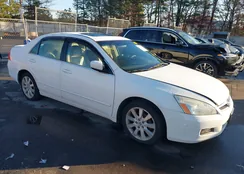 1HGCM66587A089684: 43829479