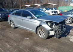 5NPE24AFXGH405449: 43828858