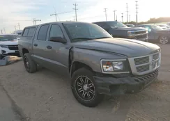 1D7RE3GK3BS510695: 43829922