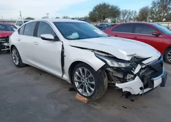 1G6DN5RK6L0149363: 43831218