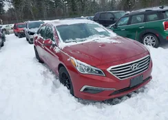 5NPE24AF5FH034277: 43831363