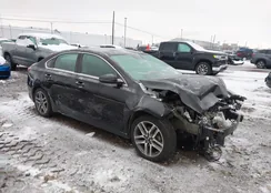 3KPF54AD3ME303209: 43831429