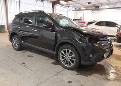 JTMDJREV2HD087721: 43831465