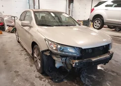 1HGCR3F88DA024694: 43834519