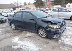 2T1BU4EE0AC257997: 43834777