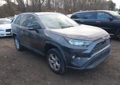 2T3P1RFV8MW201925: 43837435