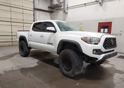 3TMCZ5AN5MM452975: 43838124