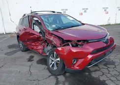 JTMWFREV5JD123773: 43839998