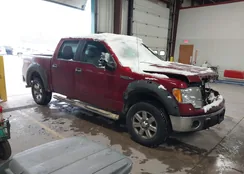 1FTFW1EF3DFA89559: 43840496