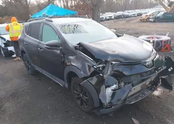 2T3RFREV9JW774341: 43842326