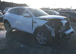 SADFP2FX6N1028834: 43844061