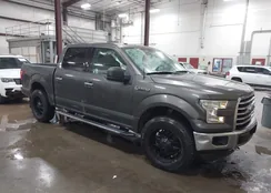 1FTEW1EF5GKF58660: 43845064