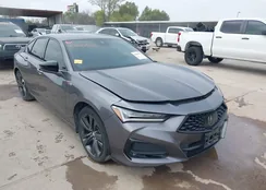 19UUB5F56MA013770: 43844522