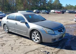 1N4BA41E17C820562: 43844804