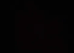 5NPE34AF7KH760326: 43845748