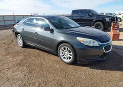 1G11C5SL3FF253926: 43848058