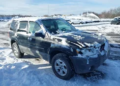 1FMYU93177KA60464: 43848120