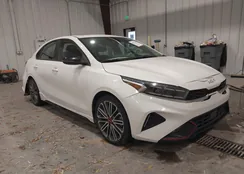 3KPF44AC8PE539613: 43852453