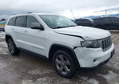 1C4RJFAT9DC591384: 43853319