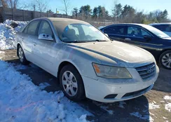 5NPET46C69H557548: 43854053