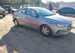 5NPD74LF5HH163987: 43855177