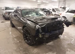 2C3CDZFJ5MH529987: 43855354