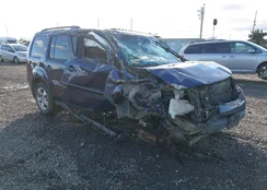 5FNYF4H59DB037175: 43856162