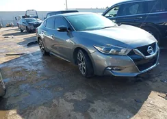 1N4AA6AP2JC383932: 43856716