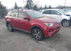 JTMWFREVXJD132159: 43858253