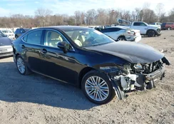 JTHBK1GG6E2132248: 43861303