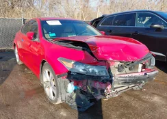 1HGCS2B80BA004098: 43860565