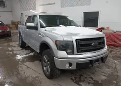 1FTFW1EF5DKD87358: 43860641