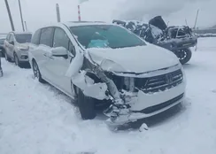 5FNRL6H8XNB026593: 43861947