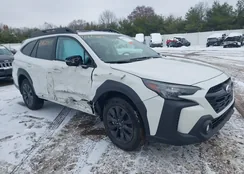 4S4BTALC2S3209989: 43862043