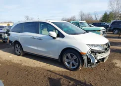 5FNRL6H70JB084374: 43862328